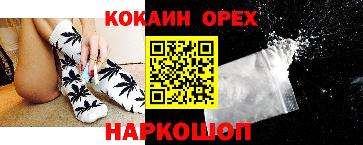 Галлюциногенные грибы Коряжма