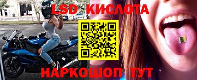 крисы Коммунар