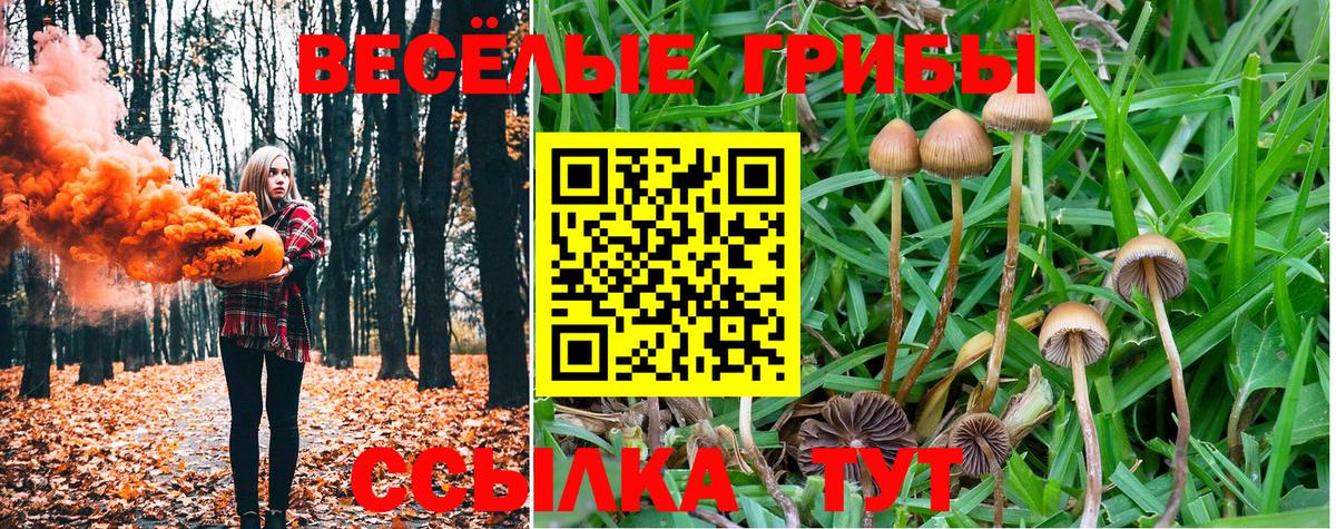 Псилоцибиновые грибы MAGIC MUSHROOMS  Вход с VPN  закладка  Коряжма  Псилоцибиновые грибы мухоморы 